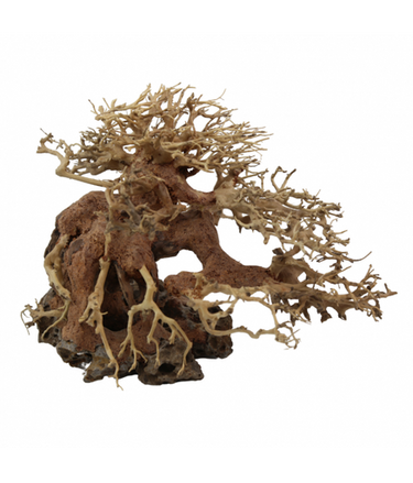 Natural Color Aquarium Decorative Natural Bonsai Driftwood Tree- 30-35cm (pc)